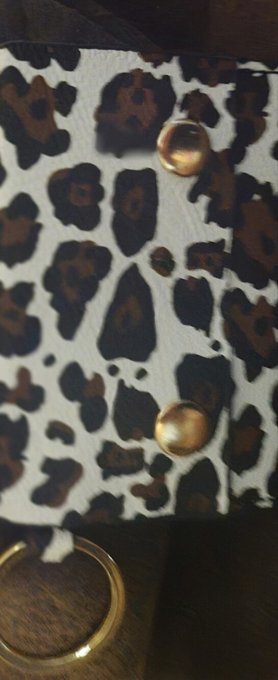 Leopard Print Card & Key Holder with Gold Hardware
